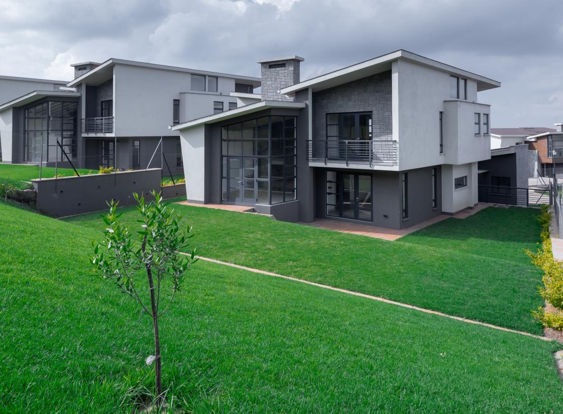 Tilisi Developments PLC 1